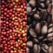Global Coffee Market Records Significant Price Crash 5 Global Coffee Market Records Significant Price Crash