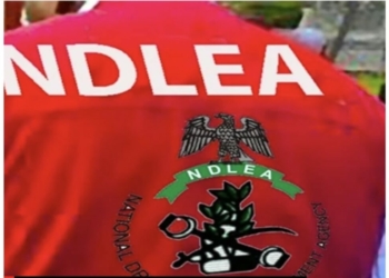 NDLEA
