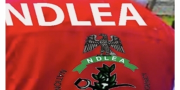 NDLEA