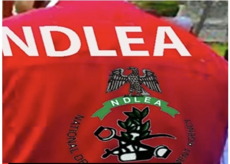 NDLEA