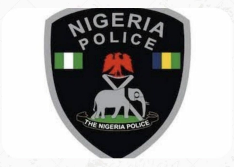 Imo Police Arrest 6 Officers Over Viral Assault Video 1 Nigeria Police Force