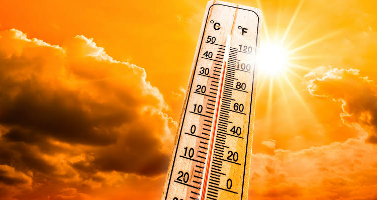 UK Schools To Close Early Over Record Heatwave 1 IMG 7815