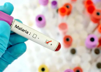 Nigeria Records Major Malaria Decline As Prevalence Falls To 15.2%