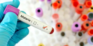Nigeria Records Major Malaria Decline As Prevalence Falls To 15.2%