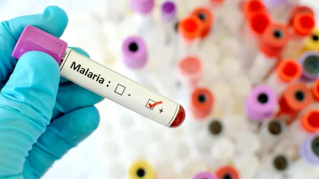 Nigeria Records Major Malaria Decline As Prevalence Falls To 15.2% 1 Malaria
