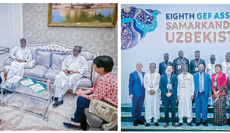 Nigeria Reaffirms Commitment To Environmental Governance, Land Restoration 1 NAGGW In Focus