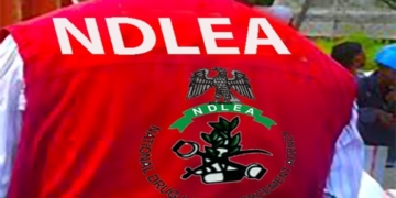 NDLEA Arrests 75-Year-Old In Ebonyi, Intercepts Massive Opioids Consignments 2 NDLEA Arrests 75-Year-Old In Ebonyi, Intercepts Massive Opioids Consignments