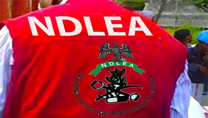 NDLEA Arrests 75-Year-Old In Ebonyi, Intercepts Massive Opio