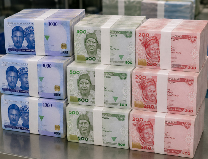 Cash Outside Banks Rises to N5.19trn as Credit Rebounds 1 Naira notes