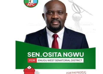 THE HERO’S JOURNEY: From Skepticism To Statesmanship: Why Enugu West Should Support Senator Osita Ngwu’s Return To The Senate in 2027