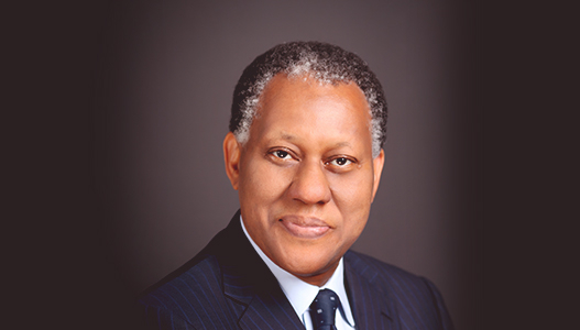 Strengthen NDDC As Central Actor In Niger Delta Development, Ex-Minister Tells FG 1 Odein Ajumogobia