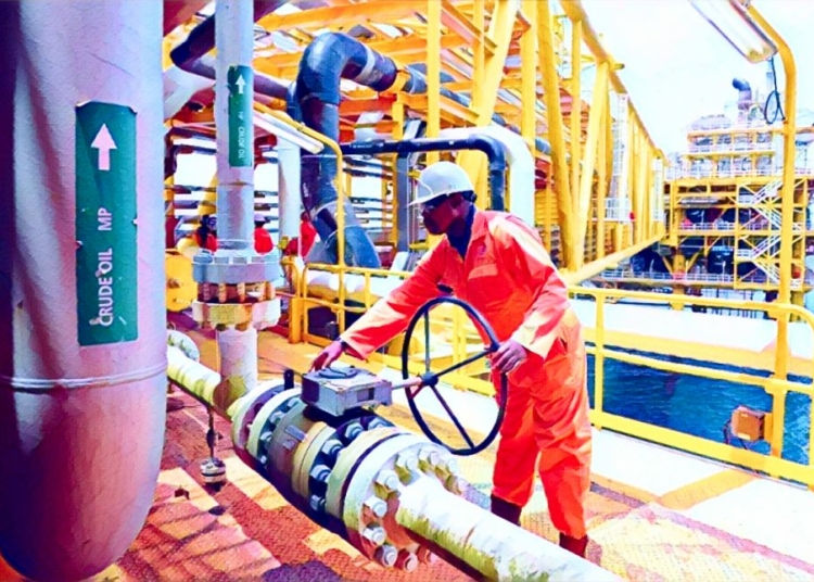 Oil