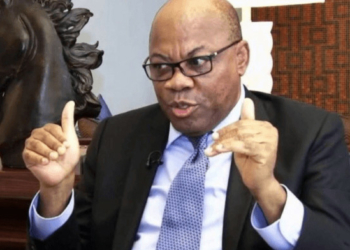 State Police: Agbakoba Proposes South African Model For Police, INEC, EFCC