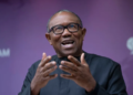 ‘Hasty Passage Of State Police Bill Raises Suspicion’, Says Peter Obi