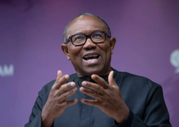 ‘Hasty Passage Of State Police Bill Raises Suspicion’, Says Peter Obi