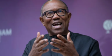 ‘Hasty Passage Of State Police Bill Raises Suspicion’, Says Peter Obi