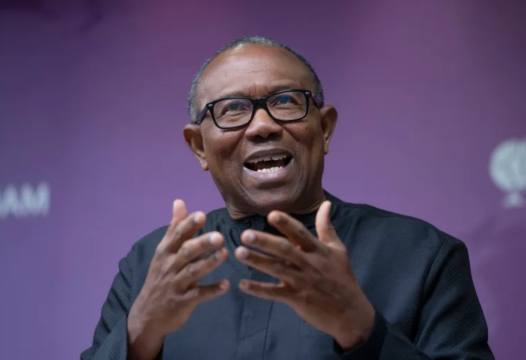 'Hasty Passage Of State Police Bill Raises Suspicion', Says Peter Obi 1 Peter Obi