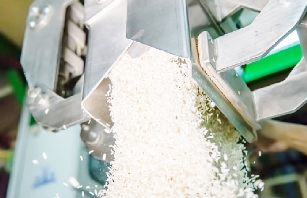 FG Hails Niger Rice Processors For Winning Continental Quali