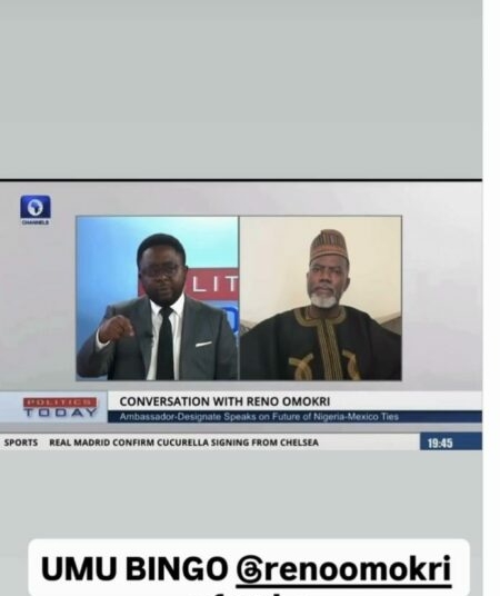 Davido Mocks Reno Omokri Over Delayed Resumption As Mexico Ambassador 1 Reno Fowl
