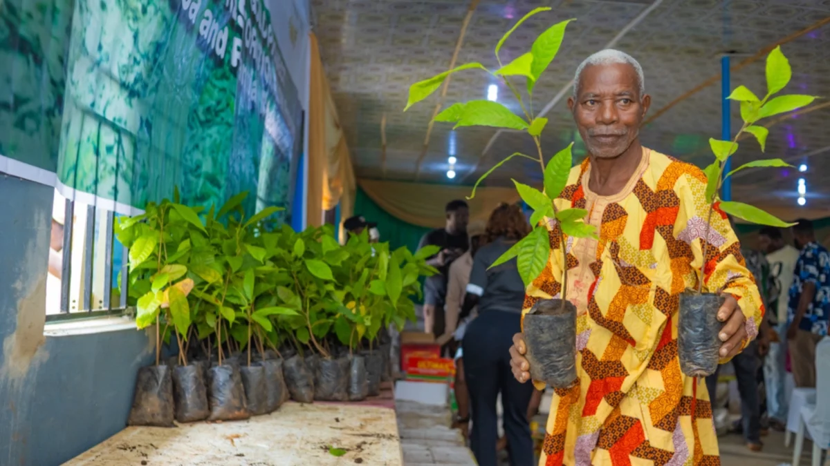 SROL Rolls Out Cocoa, Plantain Support Programmes For Osun F