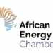 AEC Affirms Nigeria’s Indigenous Companies’ Capacity To Create Value From Oil Production