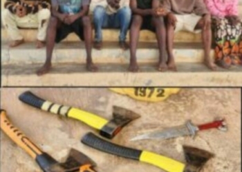 Ondo Police Nab 6 Suspected Cultists, Recover Weapons ‎