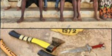 Ondo Police Nab 6 Suspected Cultists, Recover Weapons ‎ 2 Ondo Police Nab 6 Suspected Cultists, Recover Weapons ‎
