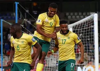 South Africa Must Act Fast To Keep World Cup Hopes Alive, Says Dean Boyle