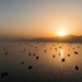 Ship Traffic Through Strait Of Hormuz Rising 'Very Meaningfully' - US Secretary 4 Ship Traffic Through Strait Of Hormuz Rising ‘Very Meaningfully’ – US Secretary