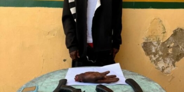Police Arrest Suspected Robber With Guns, Bullet, Human Hand In Lagos