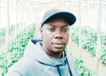 From One Greenhouse To 10: Ojeah’s Blueprint For Profitable Farming