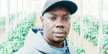 From One Greenhouse To 10: Ojeah’s Blueprint For Profitable Farming
