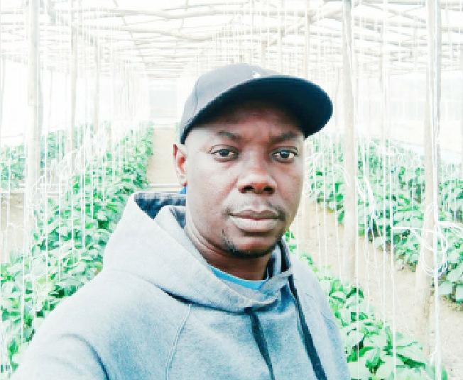 From One Greenhouse To 10: Ojeah’s Blueprint For Profitable Farming 1 Vincent Ojeah
