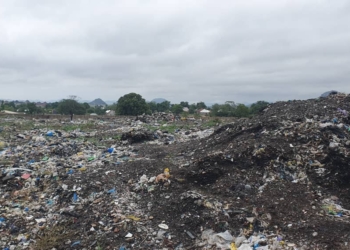 Plastic Waste Management Project Yielding Results, Says UNDP-GEF SGP