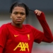 World Cup 2026: Why Nigerian-born Liverpool Star Ngumoha Cannot Play For England 5 World Cup 2026: Why Nigerian-born Liverpool Star Ngumoha Cannot Play For England