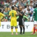 Williams Expresses Disappointment Over Lack Of African Support After World Cup Defeat
