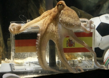 AI Replaces Paul The Octopus For 2026 World Cup Tips
