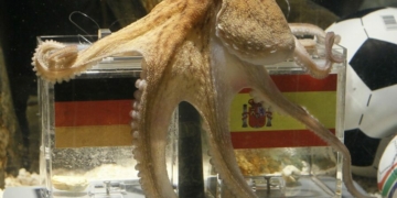 AI Replaces Paul The Octopus For 2026 World Cup Tips