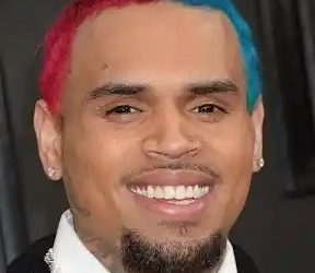 Mistrial Declared In N90m Dog Attack Lawsuit Against American Singer Chris Brown
