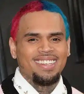 Mistrial Declared In N90m Dog Attack Lawsuit Against American Singer Chris Brown 1 WhatsApp Image 2026 06 17 at 9.27.10 AM