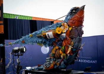 Artist Urges Nigerian Youths To Turn Protest Into Policy Power