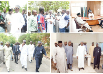 Why Great Green Wall Is Relocating To Kano
