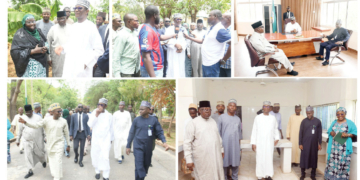 Why Great Green Wall Is Relocating To Kano