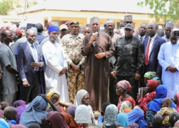 Zulum Commends Tinubu For Securing Release Of 434 Ngoshe Captives