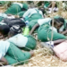 Orire Wounds Spread: First A Beheaded Teacher, Now More Families Broken