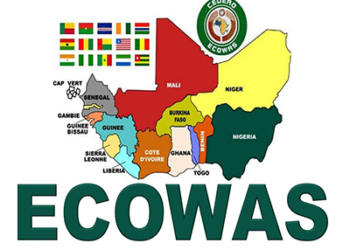 ECOWAS Parliament Rallies Stakeholders To Boost Regional Electricity Access