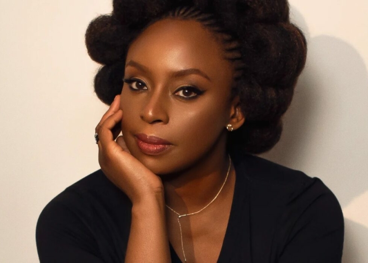 Court Fixes October 12 To Rule On Bid To Halt Chimamanda Adichie Son’s Inquest 1 adichie