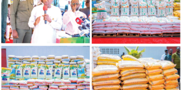 From Promise To Harvest: How Governor Alia's Annual Fertilizer Intervention Is Redefining Agriculture In Benue 4 From Promise To Harvest: How Governor Alia’s Annual Fertilizer Intervention Is Redefining Agriculture In Benue