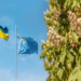 Ukraine Marks Crimean Tatar Flag Day, Condemns Historical Persecution, Russian Occupation 5 Ukraine Marks Crimean Tatar Flag Day, Condemns Historical Persecution, Russian Occupation