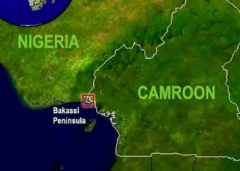 Lawmaker Urges Federal Action Over Cameroonian Incursion Into Nigeria